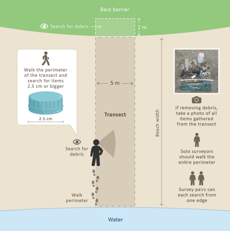 Diagram 3 shows a person surveying a transect.