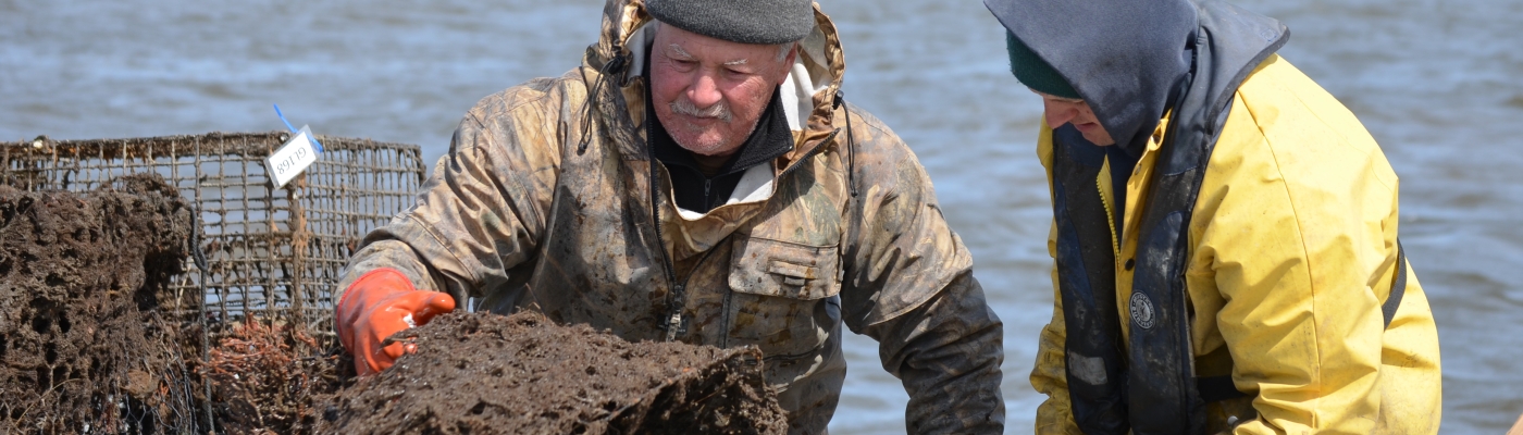 A fisher tosses a derelict crab pot onto a pile.