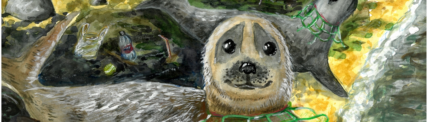 Artwork of a seal caught in marine debris.
