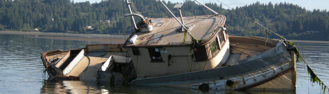 Derelict boat sinking in a lake.