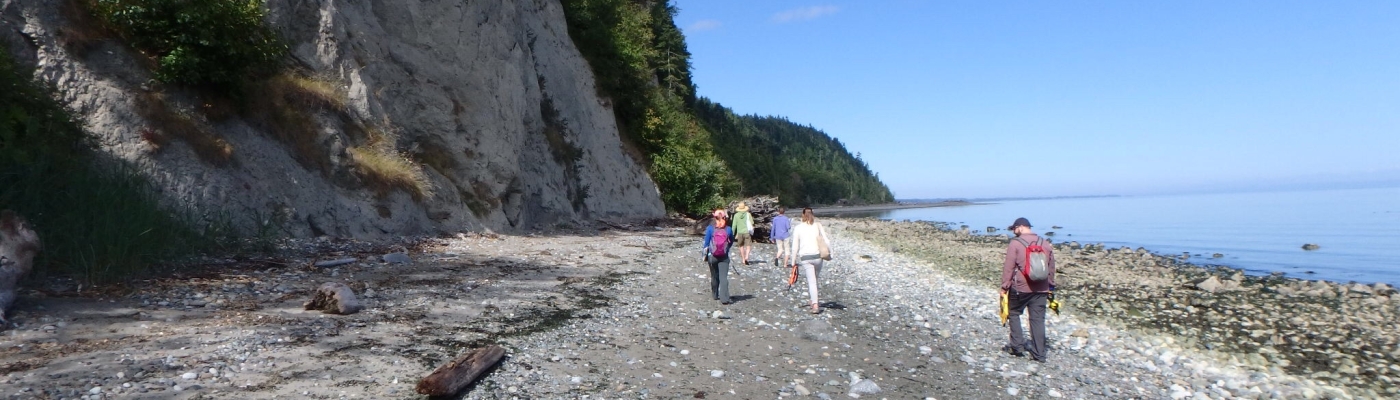 People walk on a beach.