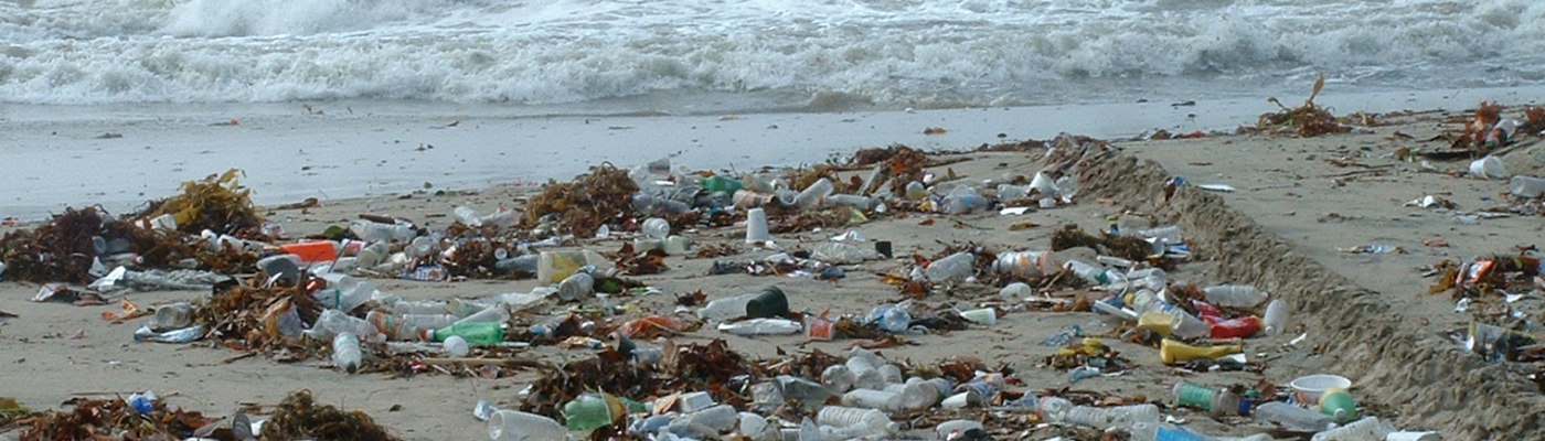 A large patch of marine debris scattered along a beach.