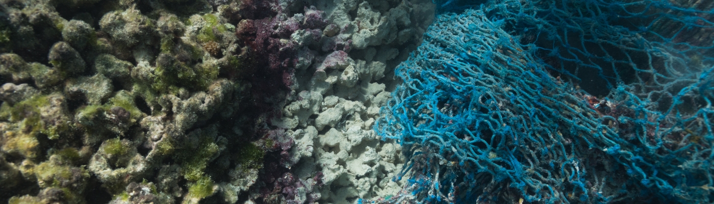 A derelict net caught on a reef.