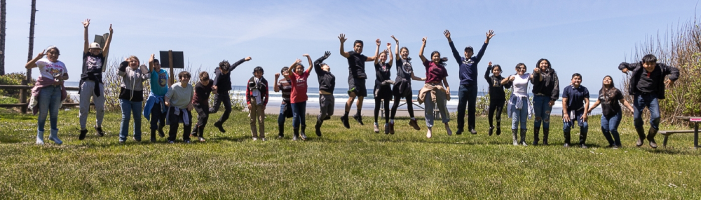 Large group of students on a grassy slope.