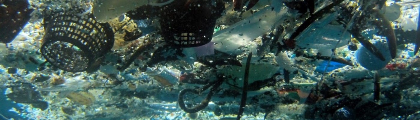 Marine debris floating on the surface of the water.