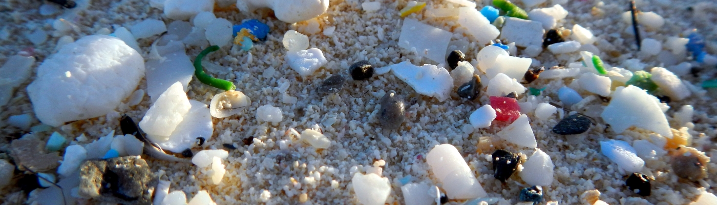 Fragments of plastic on a beach.