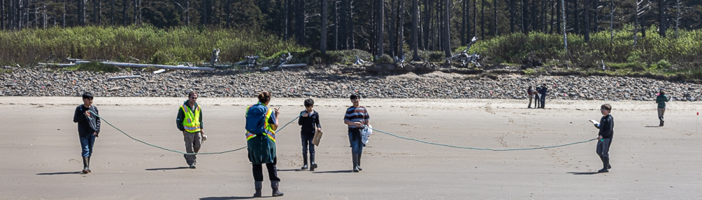 A group of lined people up on the beach.