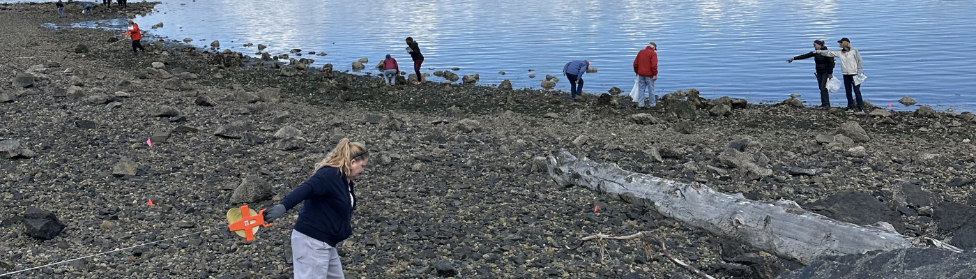 Volunteers cleaning up marine debris along a shoreline covered in logs.