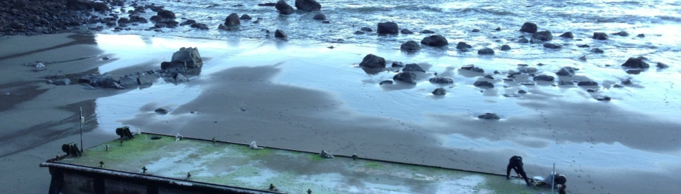 A 66-ft floating dock that was dislodged from the Port of Misawa in Japan during the tsunami and washed up on the Olympic Coast of Washington near Mosquito Creek in December 2012.