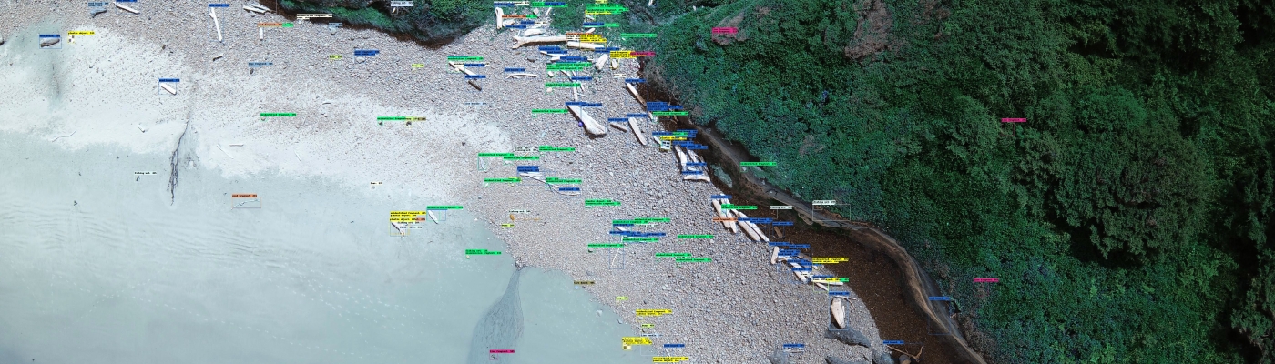 A high-resolution coastal image with labeled natural and marine debris.