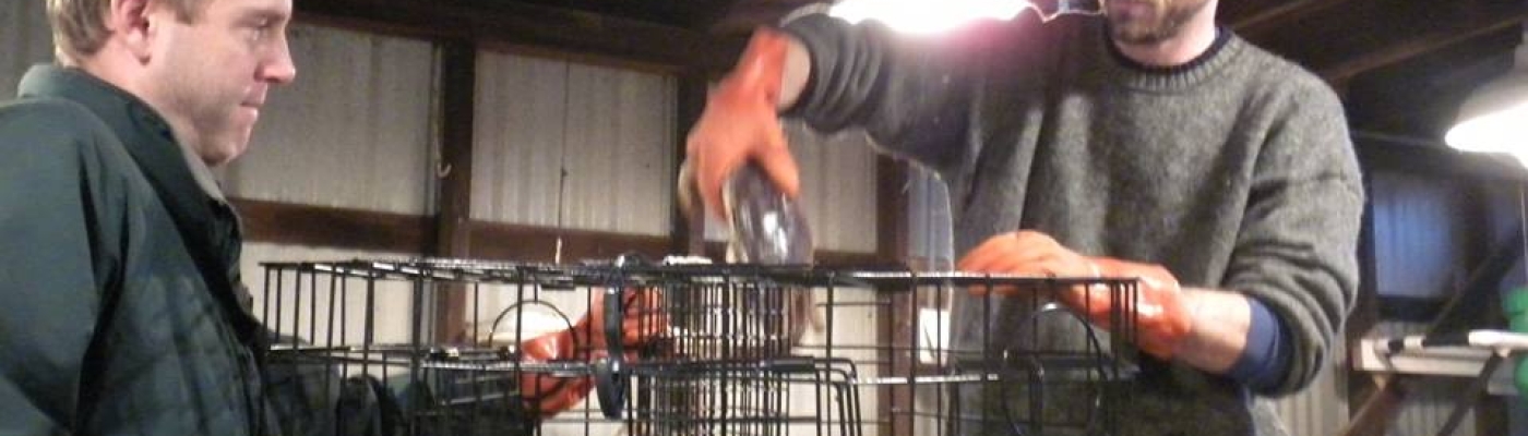 Researchers load pots into a tub for testing. 