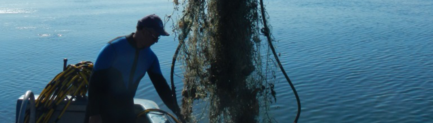 A worker on a boat removing a derelict net from the Puget Sound.