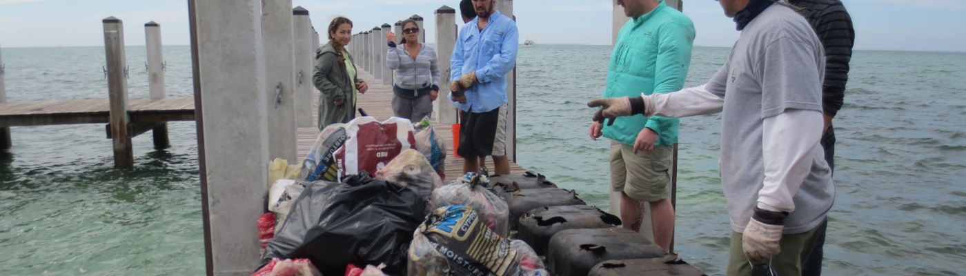 Volunteers at Florida cleanup