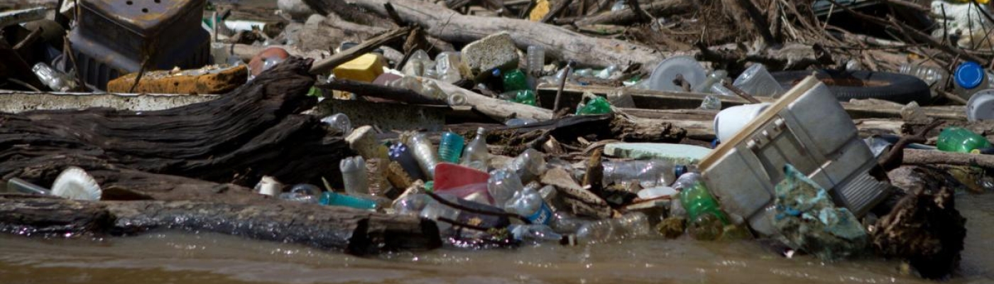 Logs and debris blocking a river. 