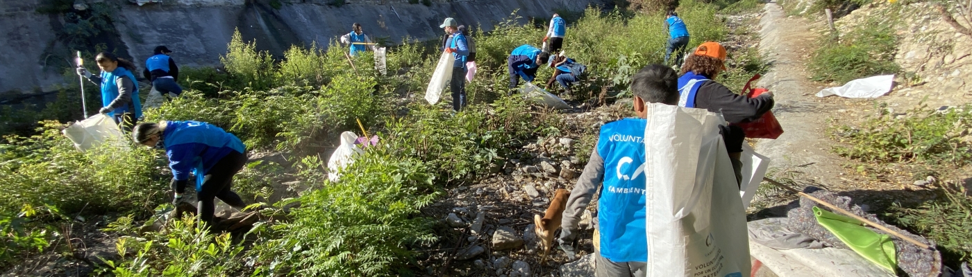 A group of people cleanup a creek.