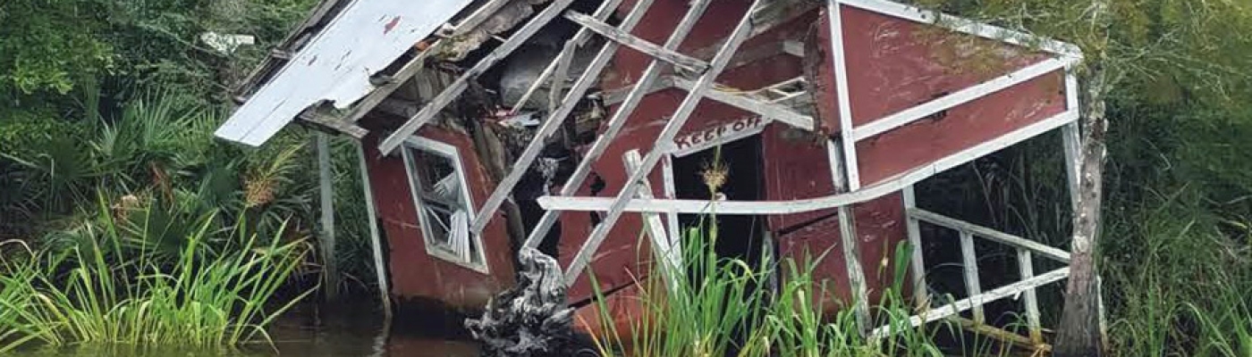 A dilapidated house surrounded by vegetation sinks into a river.