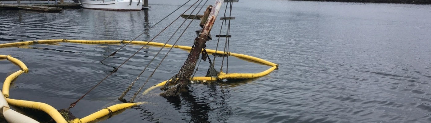 The mast of a sunken vessel protrudes out of the water at the Makah Marina in Neah Bay.