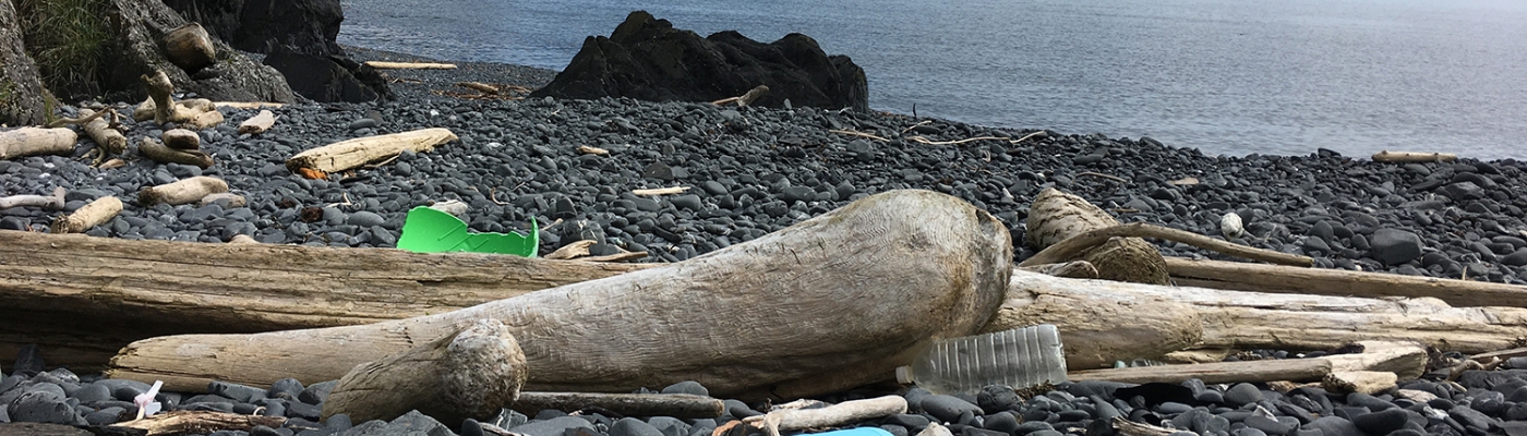 Plastic debris on a rocky beach.