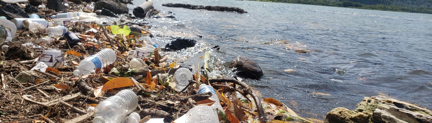 Trash mixed in with natural debris on a shoreline.