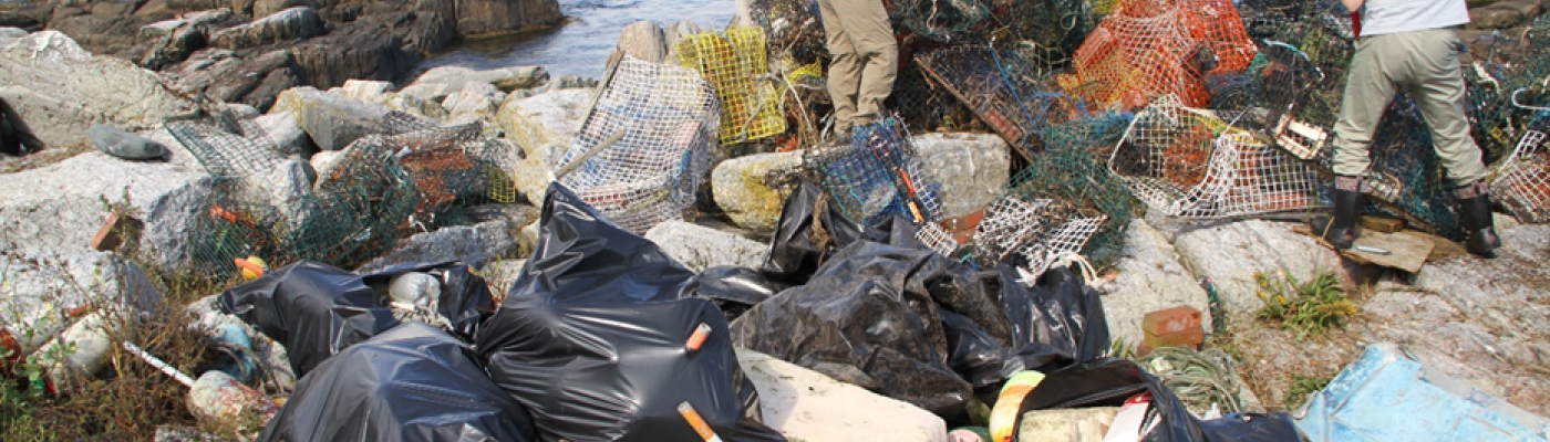 Pile of marine debris on a shore. 
