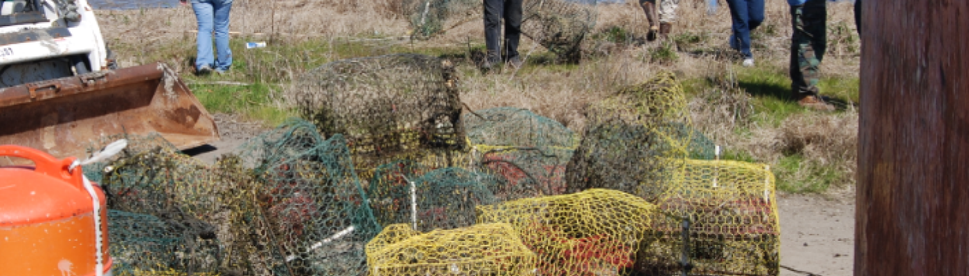 Volunteers picking up derelict crab pots.