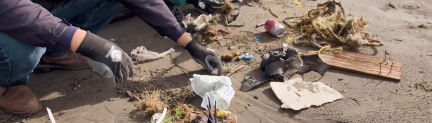 Two people sort debris on a sandy beach.