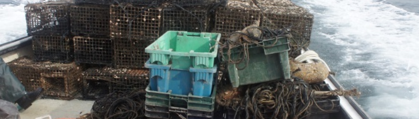Derelict lobster traps removed from Long Island Sound.