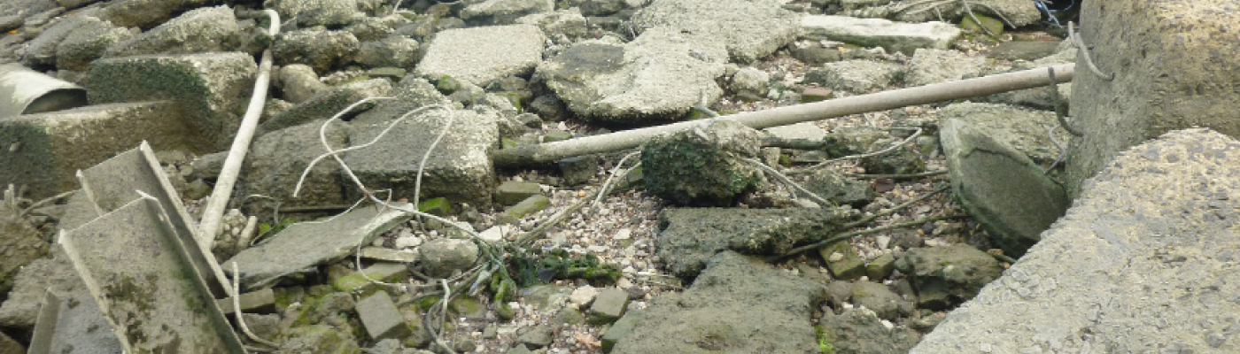 Ropes and other debris scattered along a rocky shore. 