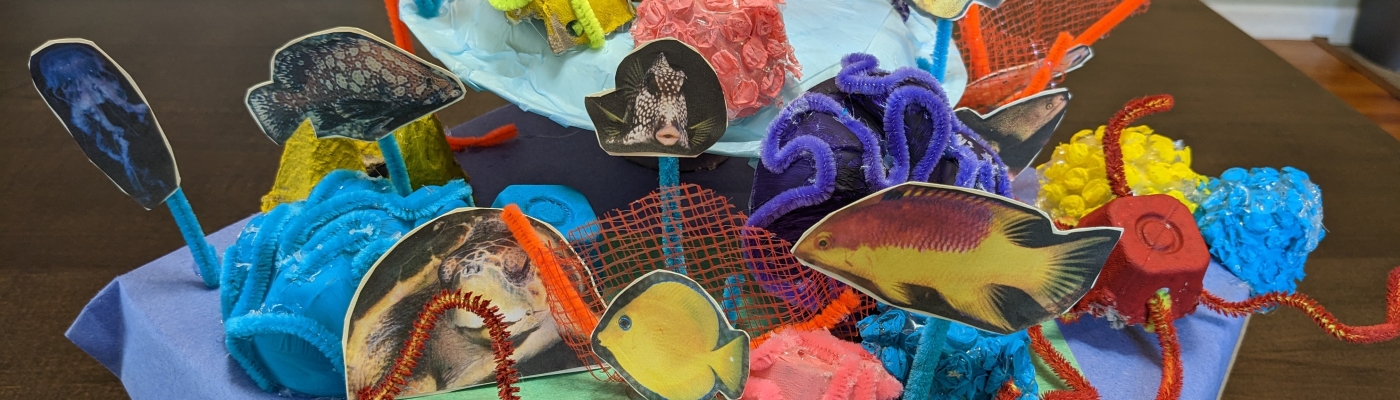 The completed coral reef!