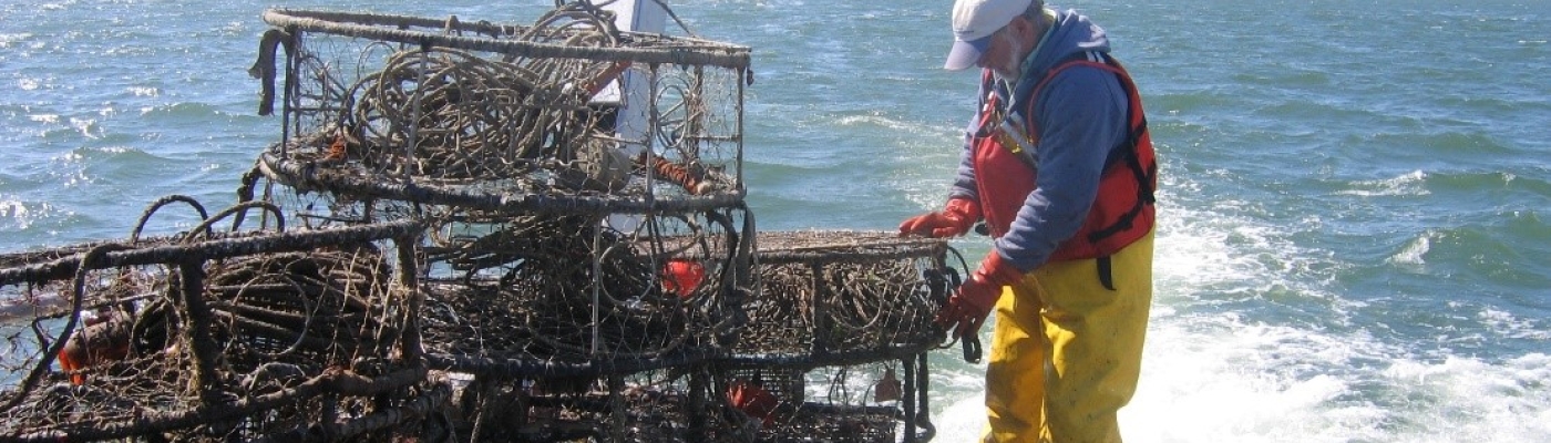 A deckhand handles one of many derelict crab pots on the deck of a vessel in the Puget Sound.