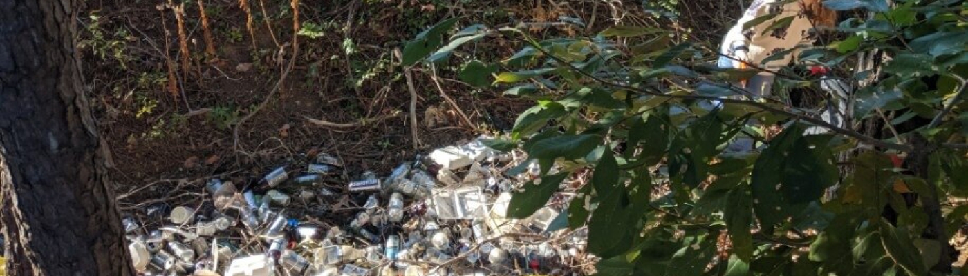 A forest stream littered with plastic debris.