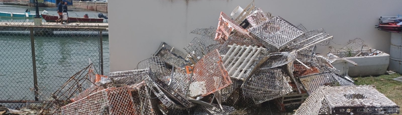 A pile of broken fishing traps sit in the grass in front of a wall and fence with harbor docks in the background.