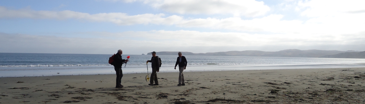 Three people surveying a beach for marine debris.