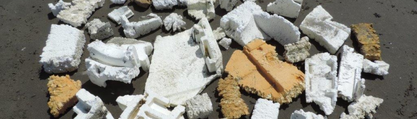 Broken white Styrofoam packing, refrigeration insulation, and other debris o0n a beach.
