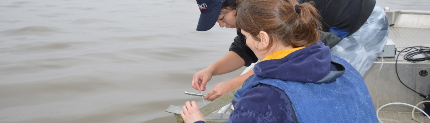 Two people taking a water sample from a boat.