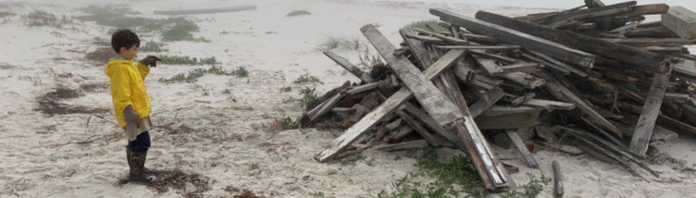 Child looking at hurricane debris on the beach.