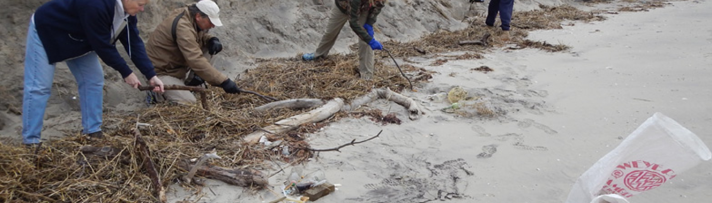 Volunteers inspect a beach for marine debris. 
