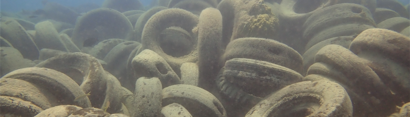 A large pile of dozens of damaged tires covered in tiny green algae sit underwater in a dark blue ocean. 