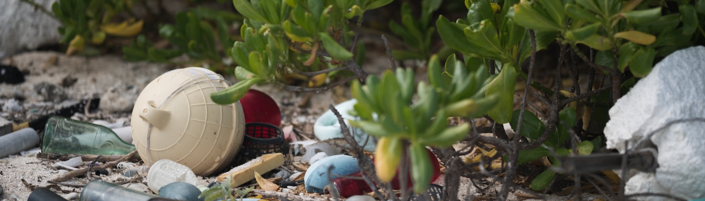 Trash scattered on sand and among shrubs at the back barrier of a beach.