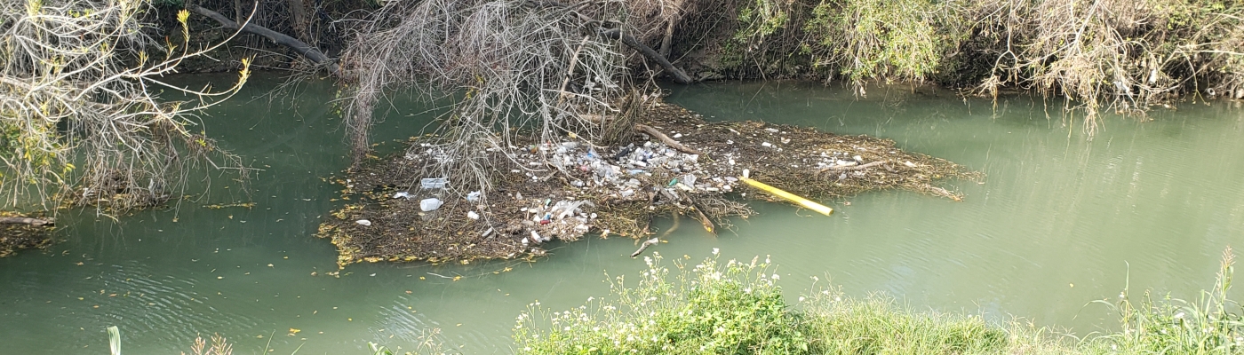 A patch of twigs and leaves mixed with water bottles and other plastic debris are snagged in large branches and floating in a bayou on a sunny day.