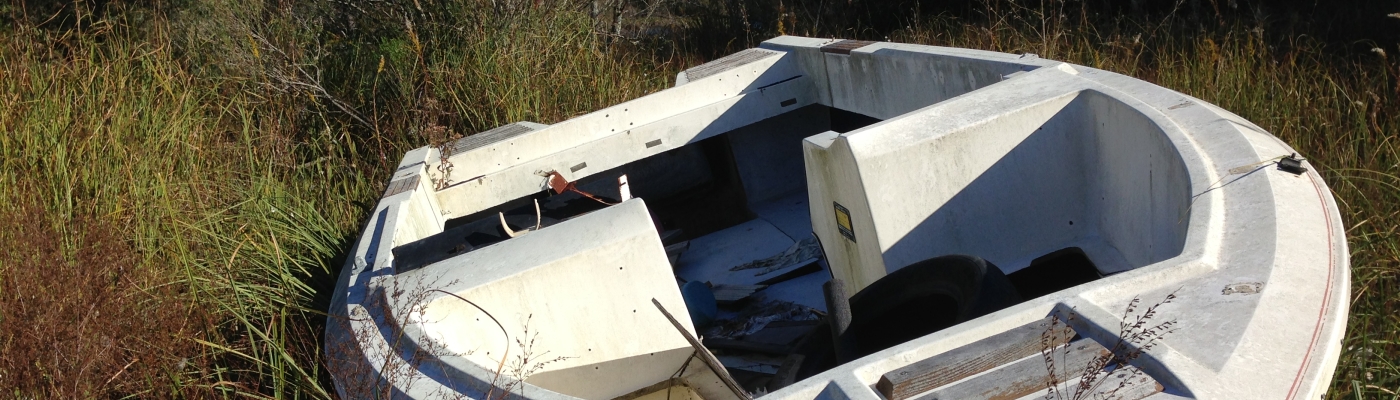 Identified Derelict Vessel in Marsh.