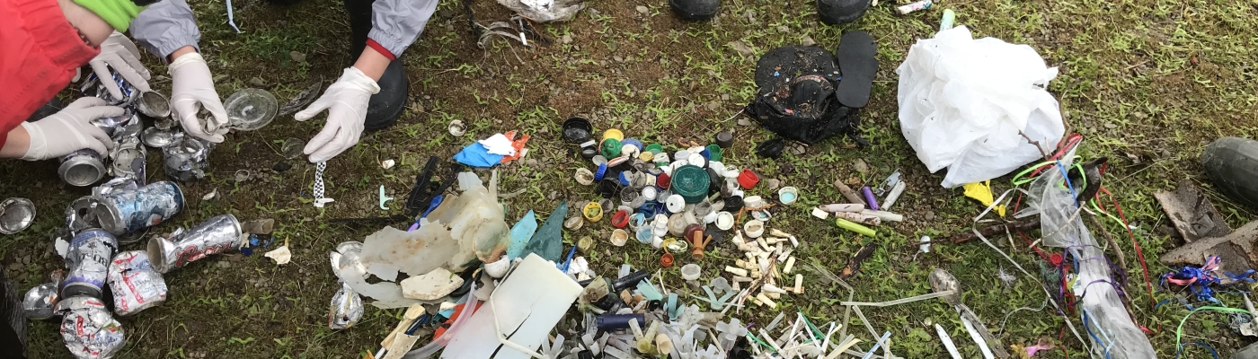 A collection of marine debris items collected and sorted by type.
