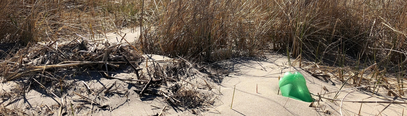 A plastic water bottle buried in a sand dune.