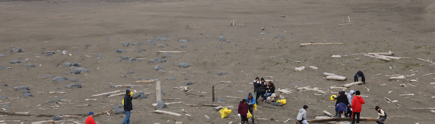 Cleanup volunteers removing debris on a beach.