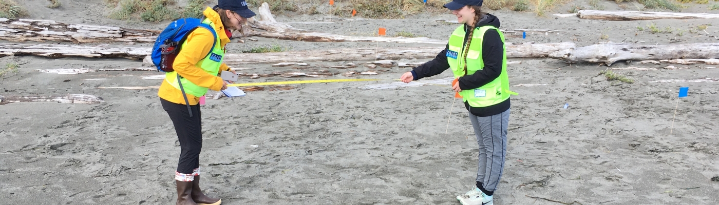 Two people laying a transect.