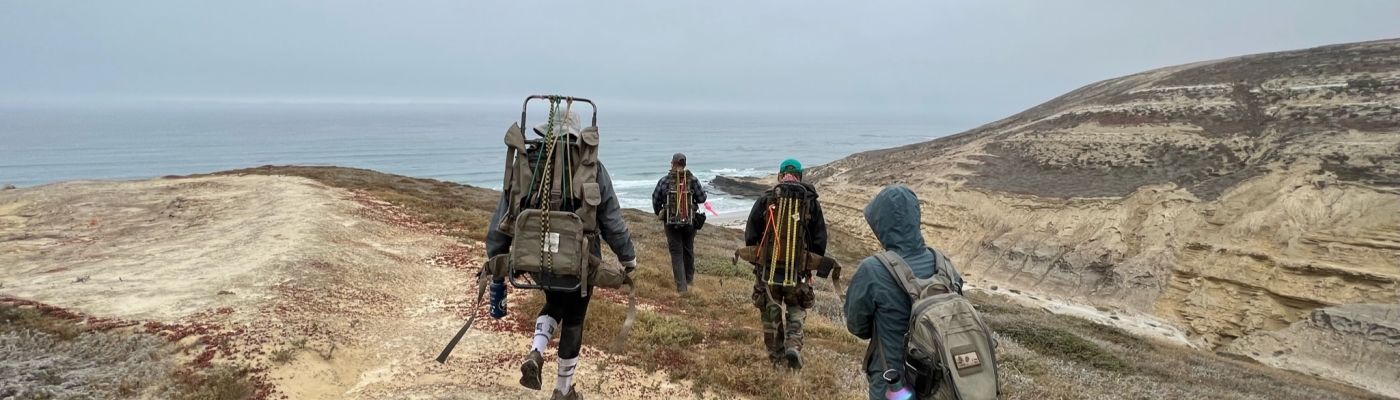 A group of people hike towards the ocean.