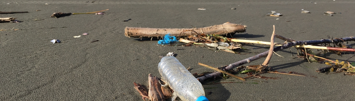 A plastic water bottle and some sticks on a shoreline.