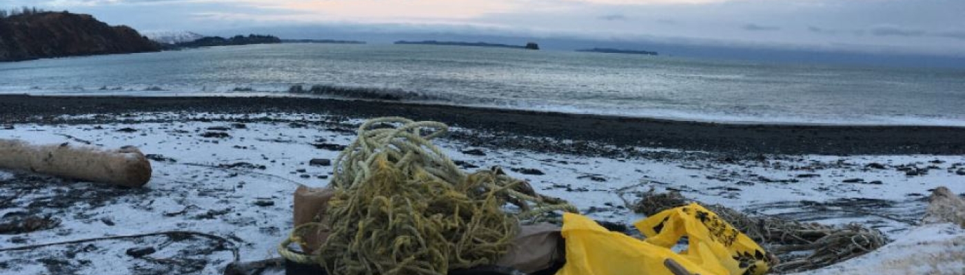 A coastal view of Alaska where the tide is out and exposes a muddy beach. On the beach rests drift wood and plastic debris.