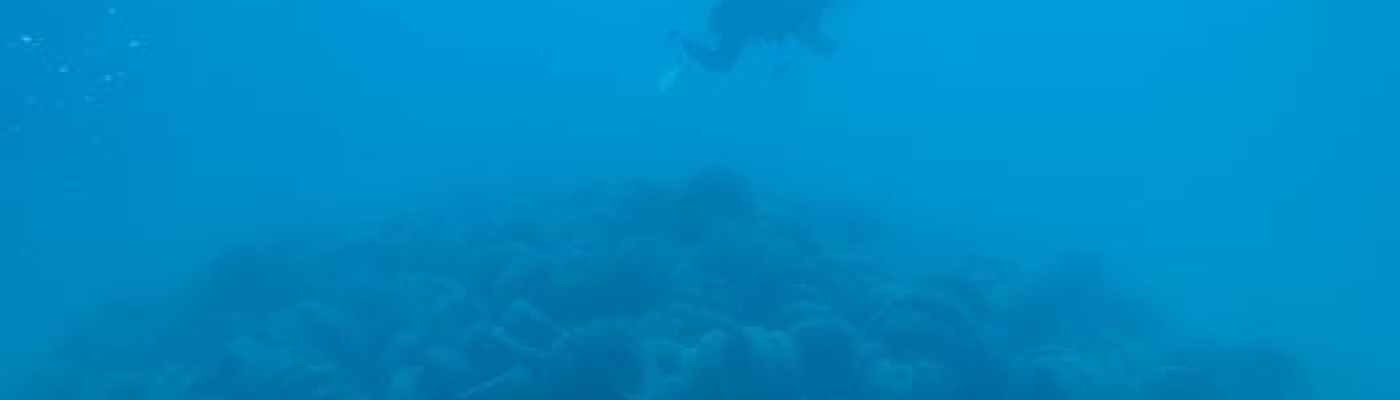 A SCUBA diver swims over a very large pile of 2,482 tires all resting on the seafloor.