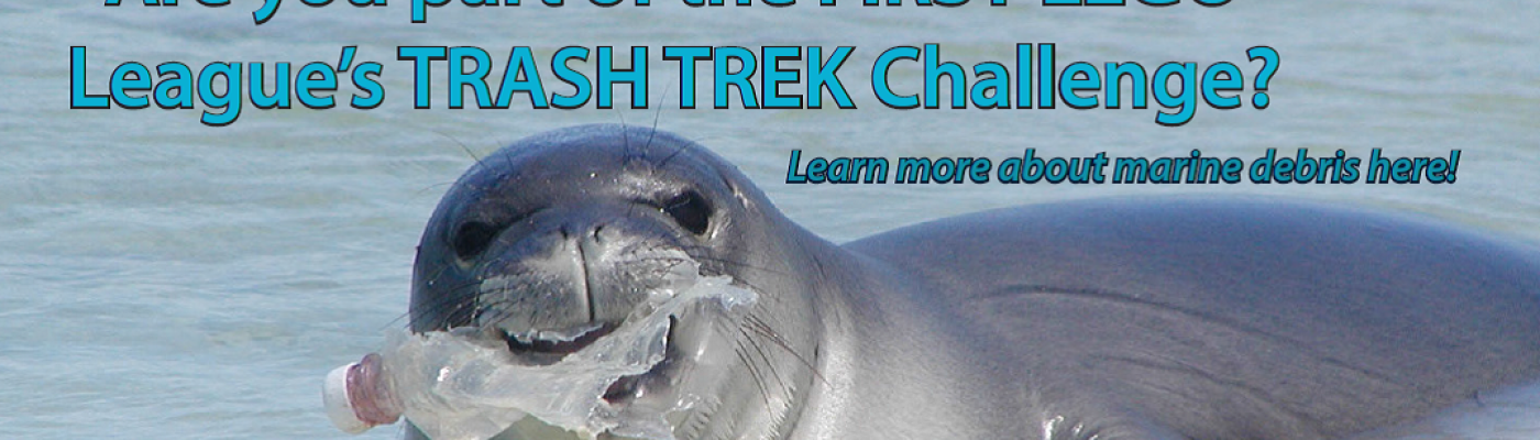Are you part of the FIRST LEGO League's Trash Trek Challenge? Learn more about marine debris here!